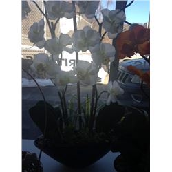vase with white flowers