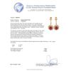 Image 3 : 14KT Yellow Gold 8.70ctw Ruby and Diamond Earrings