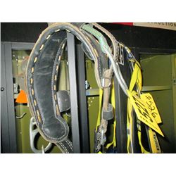 Buckingham Leather Climbing Belt w/ pole strap