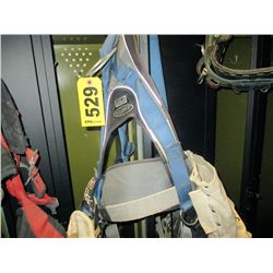 DBI Sala Exofit Harness w/ tool bags