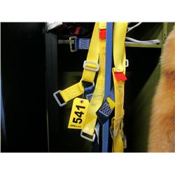 Climbing Harness