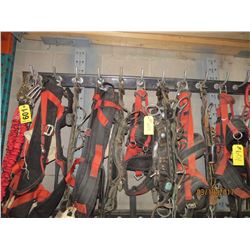 Climbing belts and harnesses