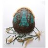 Image 1 : Native American painted turtle shell adorned