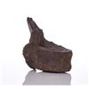 Image 3 : Huge Petrified Dinosaur Vertebrae. Provenance