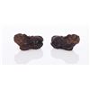 Image 2 : Two Foo Dog Netsukes Carved From Wood, Edo Pe