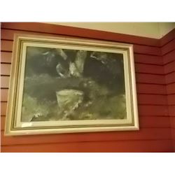 PICTURE - BUCKET IN GRASS COVERED GROUND