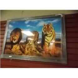 FRAMED PRINT ON BOARD "WILD CATS