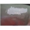 Image 10 : 2003 - FORD TAURUS // RESTORED SALVAGE
