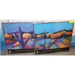 LOT OF 2 DOWN BURNS DESERT PICTURES
