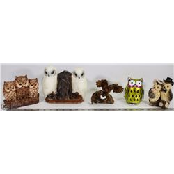 FLAT OF VARIOUS OWLS