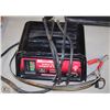 Image 1 : MOTOMASTER 12V BATTERY CHARGER