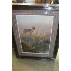 DWN ON THE MARSH COYOTE BY JOHN SEERY LESTER #24539