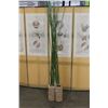 Image 1 : BAMBOO FLORAL