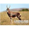 Image 1 : 7-DAY SOUTH AFRICAN SAFARI IN LIMPOPO REGION FOR FOUR HUNTERS