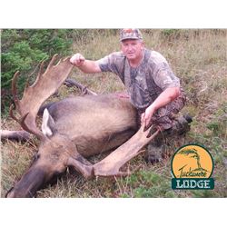 6-DAY NEWFOUNDLAND MOOSE HUNT