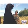 Image 1 : 6-DAY BAITED ONTARIO BLACK BEAR HUNT FOR ONE
