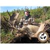 Image 1 : 7-DAY CANADIAN MOOSE HUNT IN NEWFOUNDLAND