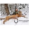 Image 1 : 7-DAY IDAHO COUGAR HUNT
