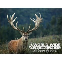 5-DAY NEW ZEALAND STAG HUNT