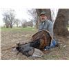 Image 1 : 5-DAY RIO GRANDE TURKEY HUNT WITH P& Y PRESIDENT