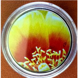 RCM Issue: 2013 25-cent colored coin-Magnified Beauty: The Eastern Prickly Pear Cactus C.O.A & Box