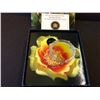 Image 1 : RCM Issue: 2013 25-cent colored coin-Magnified Beauty: The Eastern Prickly Pear Cactus C.O.A & Box