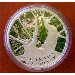 RCM Issue: 2013 20$ Fine Silver Canadian Maple Canopy ( Spring), No Tax C.O.A & Box