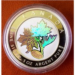 MRC: 2003 1 Oz $Silver Good Fortune Silver Maple Leaf Coin, C.O.A. Box
