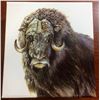 Image 3 : RCM: 2015 $100 x $100 Fine Silver 1  OZ The Muskox Dweller of the High Arctic, No TAX