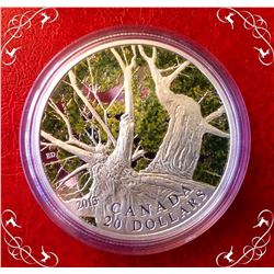 MRC: 2013 $20 Fine Silver-canadian Maple Canopy (spring) , No Tax