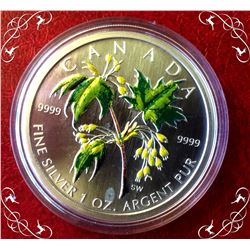 RCM: 2003 $5 1 Oz Silver Maple Leaf Coloured coin