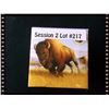 Image 1 : $100 Canada Bison Stanpede