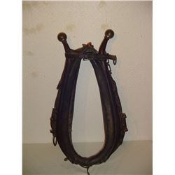 Horse Collar And Hanes