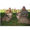 Image 1 : Northeastern Whitetail + Turkey Combo Hunt