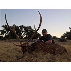 Axis buck & Rio Grande turkey combo hunt in El Dorado, Texas with AC Ranch (3 days/2 nights)
