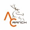 Image 3 : Axis buck & Rio Grande turkey combo hunt in El Dorado, Texas with AC Ranch (3 days/2 nights)