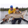 Image 2 : Trophy fishing for northern pike, walleye, and lake trout for 2 anglers at North Haven Resort in nor