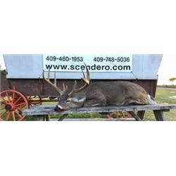 Quail, chukar, and pheasant hunt for 4 hunters at the Scendero Ranch in Winnie, Texas (2 days)