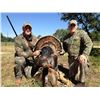 Image 1 : Two day family turkey hunt for 2 parents and two children at the Jones Ranch in Edinburg, Texas (don