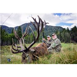 Red stag hunt for one hunter and one observer with Wilderness Quest New Zealand (5 days/4 nights)