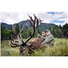 Image 1 : Red stag hunt for one hunter and one observer with Wilderness Quest New Zealand (5 days/4 nights)