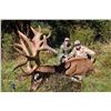 Image 2 : Red stag hunt for one hunter and one observer with Wilderness Quest New Zealand (5 days/4 nights)