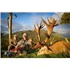 Image 3 : Red stag hunt for one hunter and one observer with Wilderness Quest New Zealand (5 days/4 nights)
