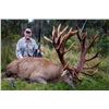 Image 4 : Red stag hunt for one hunter and one observer with Wilderness Quest New Zealand (5 days/4 nights)