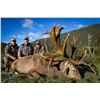Image 5 : Red stag hunt for one hunter and one observer with Wilderness Quest New Zealand (5 days/4 nights)