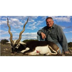 Trophy blackbuck antelope and wild boar hunt in Ingram, Texas with Texas Hunt Lodge (2 days)