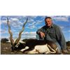Image 1 : Trophy blackbuck antelope and wild boar hunt in Ingram, Texas with Texas Hunt Lodge (2 days)