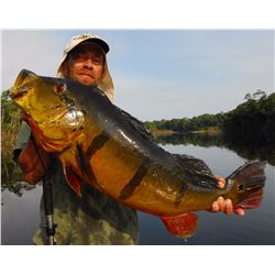 Peacock bass fishing trip for one angler in the Amazon basin in Brazil (7 days)