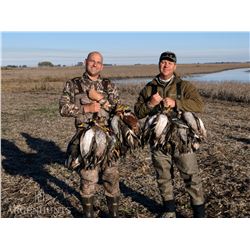 Four-day duck hunt for 2 in Buenos Aires, Argentina