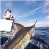 Image 1 : Billfishing trip for 2 in Guatemala (5 days, 4 nights)
